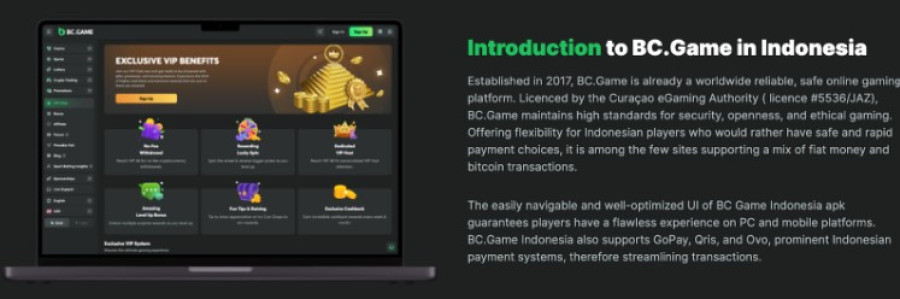 Everything You Need to Know About Bc Game App