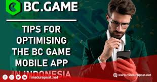 Everything You Need to Know About Bc Game App