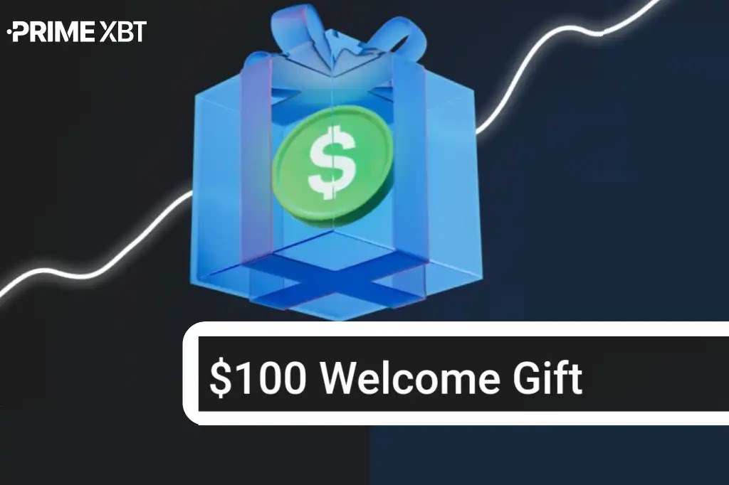 Exploring the PrimeXBT Website A Comprehensive Guide