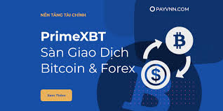 Discover the Benefits of Trading with PrimeXBT Broker