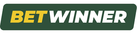 How to Access Your Account with Betwinner Login 4